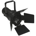 LED Mini Fresnel Wash Zoom